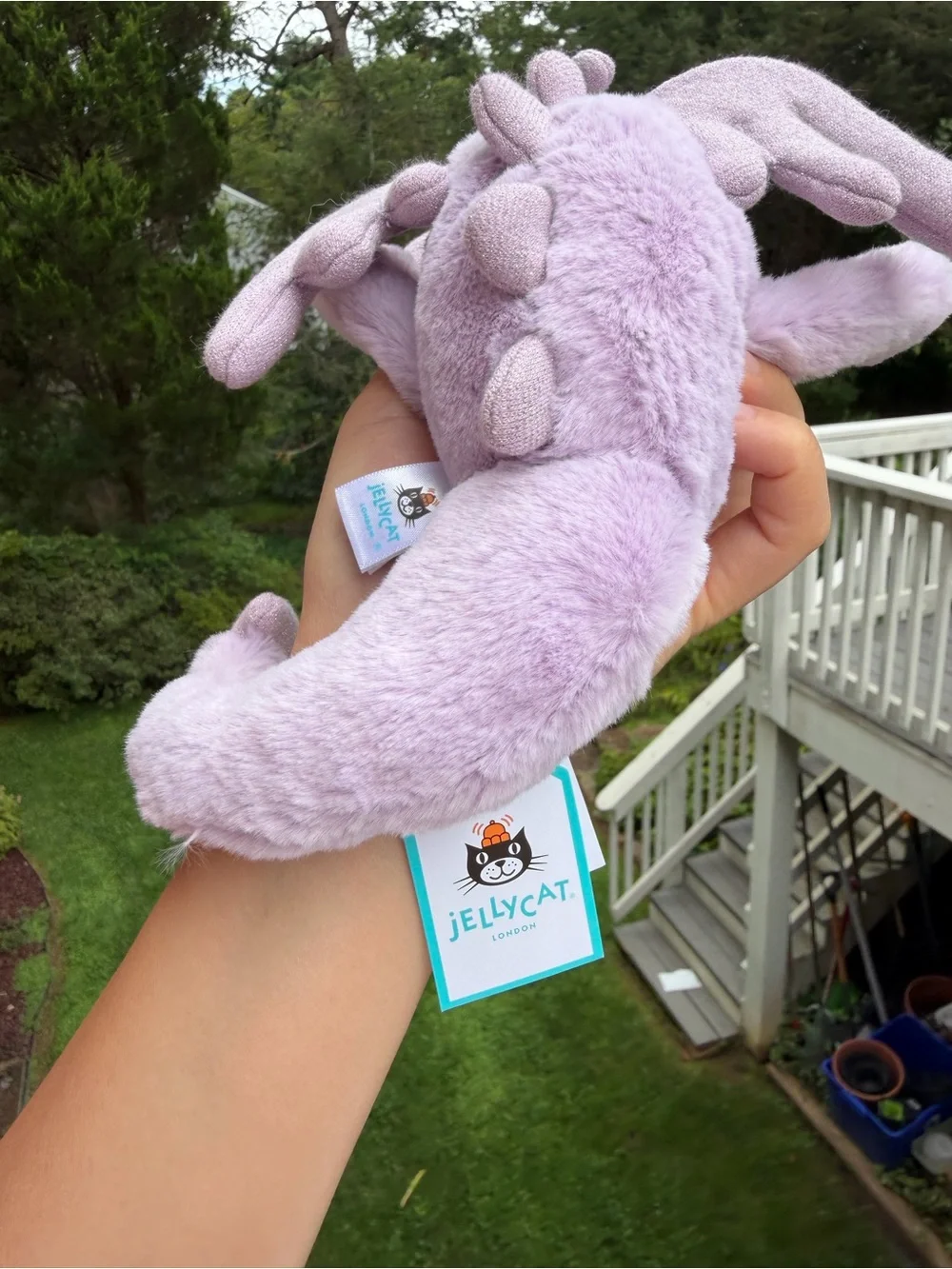 Lavender Dragon size little
